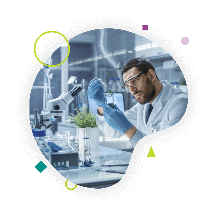 pharmaceutical translation services from transpalm