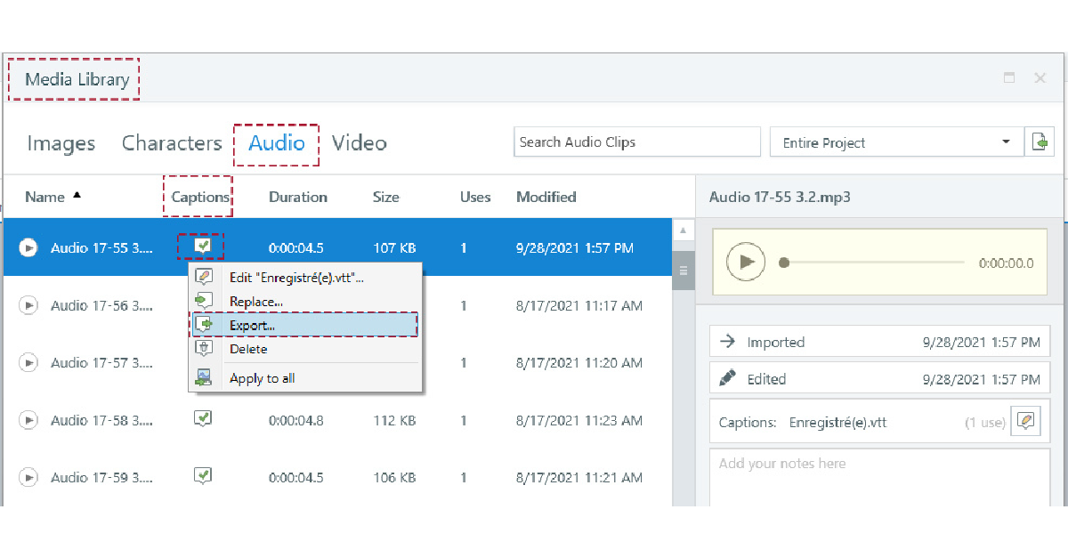 Video file settings screen showcasing options for Articulate Storyline translation.